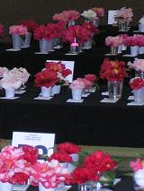 Flower Show display