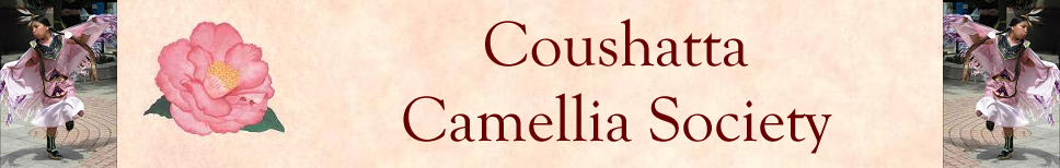 Coushatta Camellia Society Logo